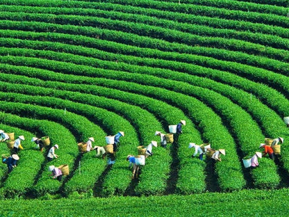 Tour Tây Bắc 5 Ngày 4 Đêm
