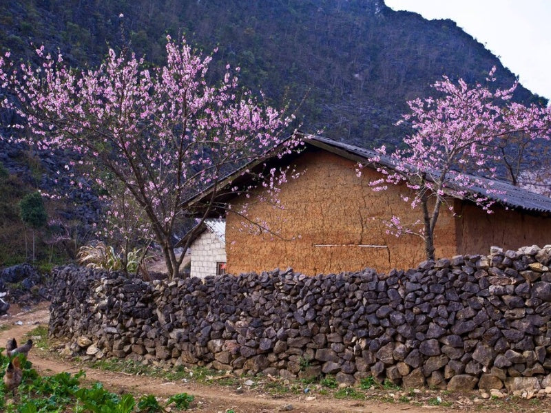 Tour Hà Giang 3 Ngày 2 Đêm Từ Hà Nội