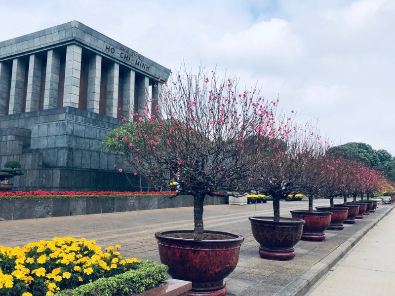 Tour Tết Dương Lịch 2025 ở Hà Nội