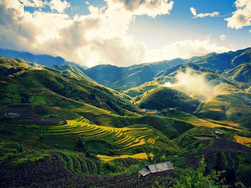 Tour Tết Dương Lịch 2025 ở Sapa