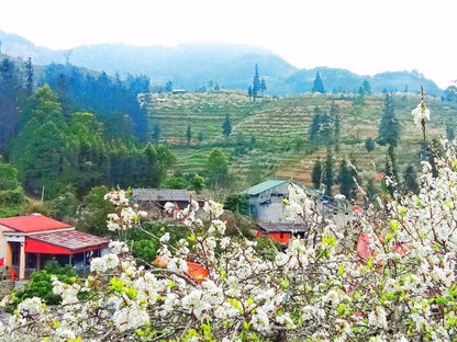 Tour nghỉ lễ 30/4 & 1/5 ở Lào Cai