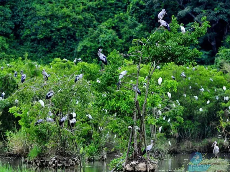 Tour Bạc Liêu 3 ngày 2 đêm từ Cần Thơ