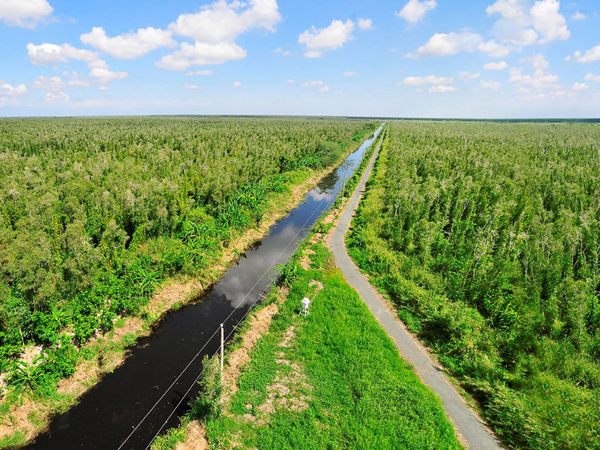 Tour Cà Mau 3 ngày 2 đêm từ TP.HCM