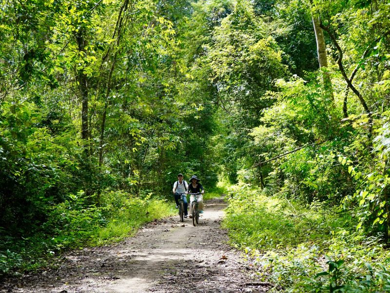 Tour Lâm Đồng 3 ngày 3 đêm