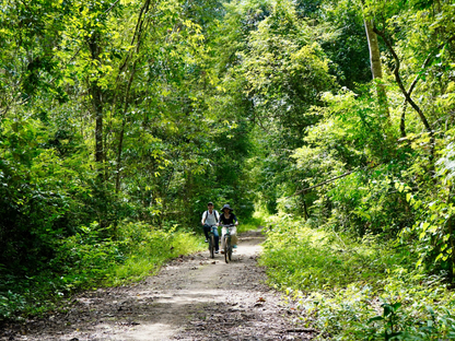 Tour Lâm Đồng 3 ngày 3 đêm