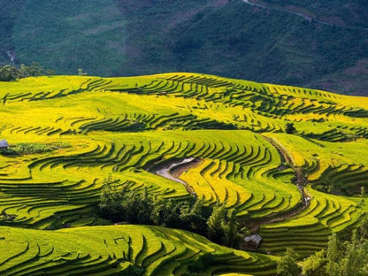 Tour Lào Cai 5 ngày 4 đêm từ TP.HCM