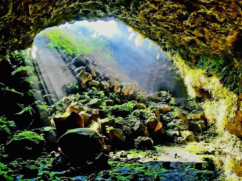 Tour Đăk Lăk 5 ngày 4 đêm từ TP.HCM
