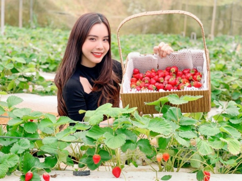 Tour Lâm Đồng 4 ngày 3 đêm