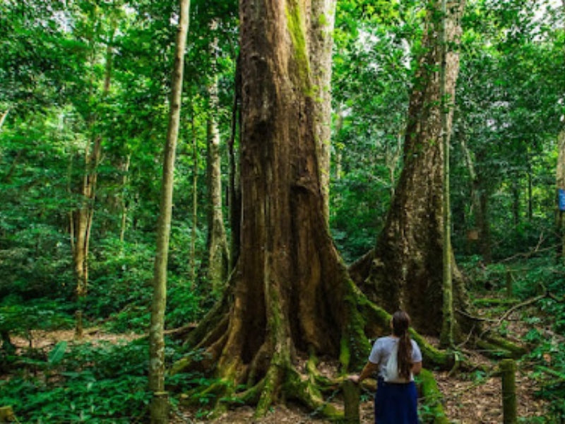 Tour Ninh Bình 4 ngày 3 đêm từ Cần Thơ