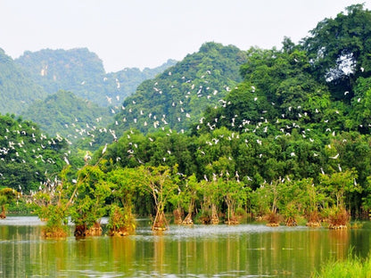 Tour Ninh Bình 4 ngày 3 đêm