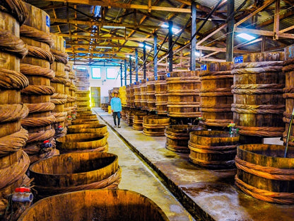 Tour Bình Thuận 3 ngày 2 đêm từ TP.HCM