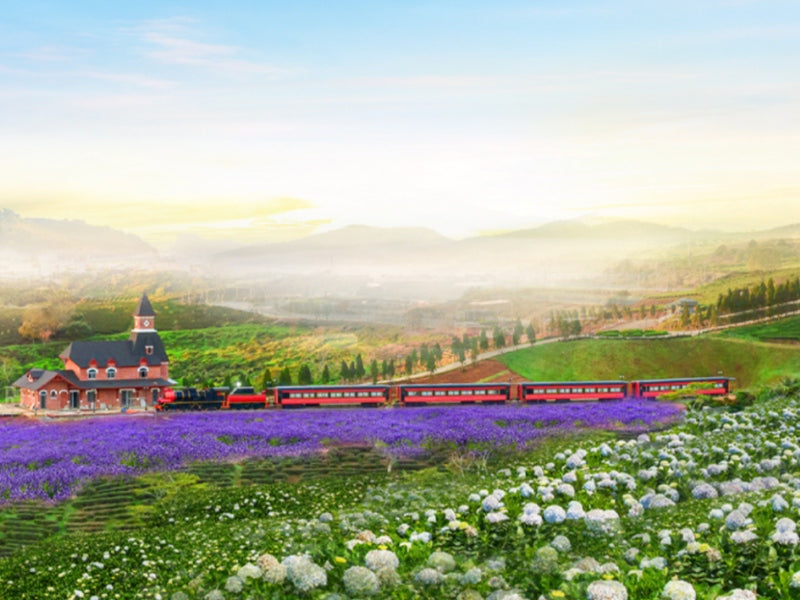 Tour Nha Trang 4 ngày 3 đêm từ Hà Nội