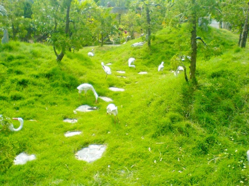 Tour Nam Định 4 ngày 3 đêm