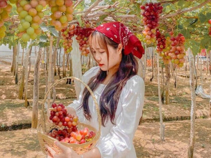 Tour Tết Nguyên Đán ở Đảo Bình Hưng
