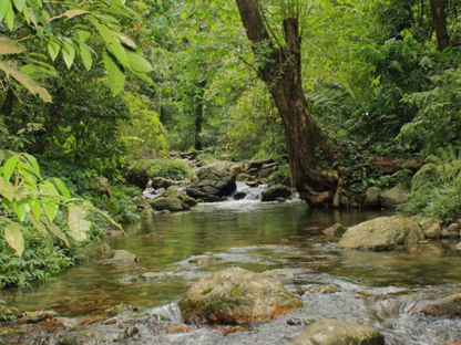 Tour nghỉ lễ 30/4 & 1/5 ở Phú Thọ