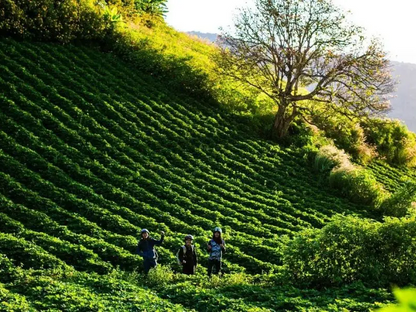 Tour Quảng Ngãi 5 ngày 4 đêm từ Hà Nội