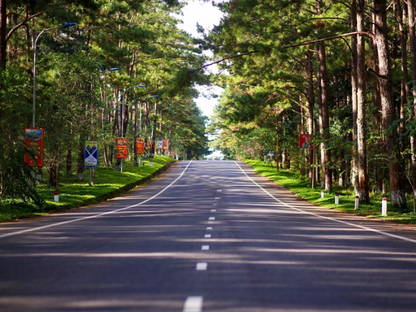 Tour Gia Lai 4 ngày 3 đêm từ Hà Nội