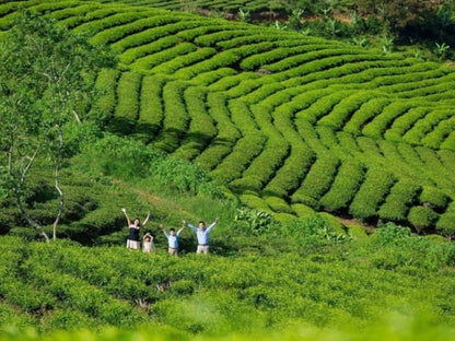Tour Tây Nguyên 5 ngày 4 đêm