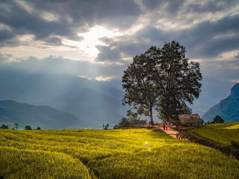 Tour Lào Cai 3 ngày 4 đêm từ Hà Nội