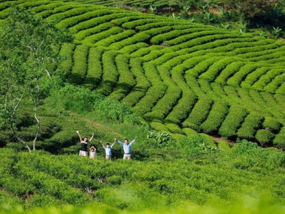 Tour Nha Trang 4 ngày 3 đêm từ TP.HCM
