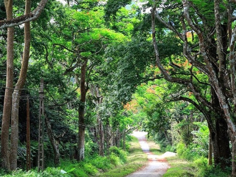 Tour Ninh Bình 6 ngày 5 đêm