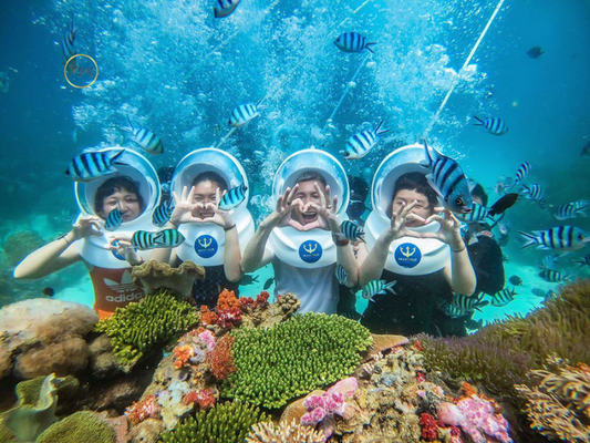 Tour Lặn Ngắm San Hô Quy Nhơn 1 Ngày