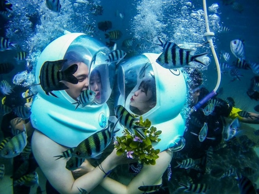 Tour Đi Bộ Dưới Biển Cù Lao Chàm 1 Ngày Từ Đà Nẵng