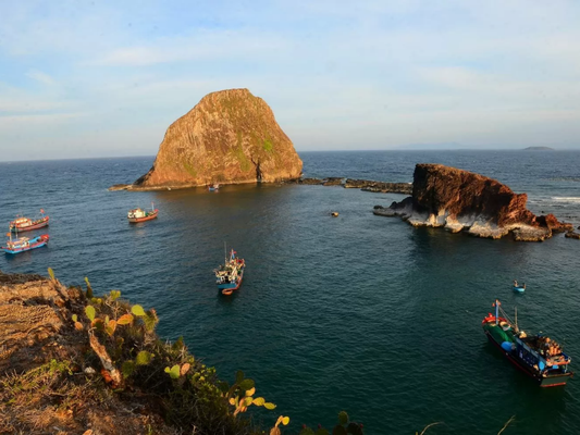 Tour Bãi Xép - Hòn Yến - Gành Đá Đĩa 1 Ngày