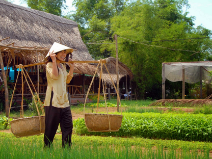 Tour Trải Nghiệm Làng Rau Trà Quế 1 Ngày