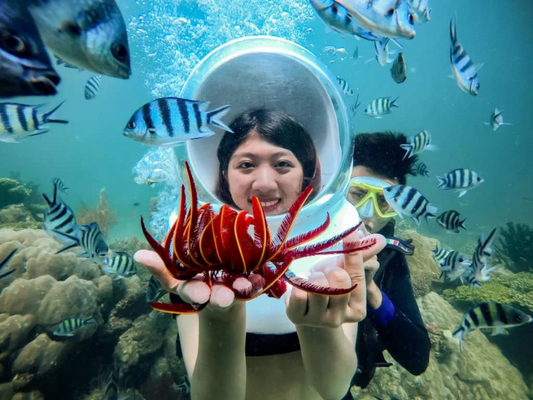 Tour Đi Bộ Dưới Đáy Biển (Seawalker) Nha Trang