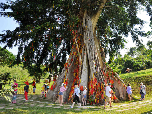 Tour Thác Yang Bay - Công Viên Của Rừng Xanh 1 Ngày Từ Nha Trang