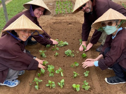 Tour Trải Nghiệm Làng Rau Trà Quế 1 Ngày