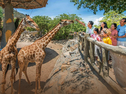 Tour VinWonders Nam Hội An 1 Ngày Từ Đà Nẵng