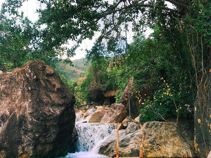 Tour Trekking Quy Nhơn 1 Ngày