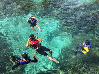 Tour Câu Cá & Lặn Ngắm San Hô Nha Trang