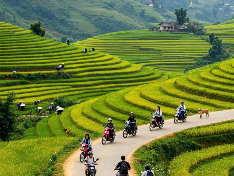 Tour Hải Vân & Phá Tam Giang (Huế) Từ Đà Nẵng