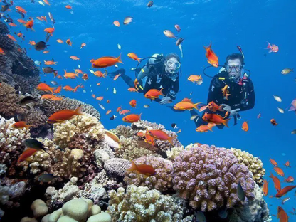 Tour Lặn Ngắm San Hô Hòn Chùa 1 Ngày