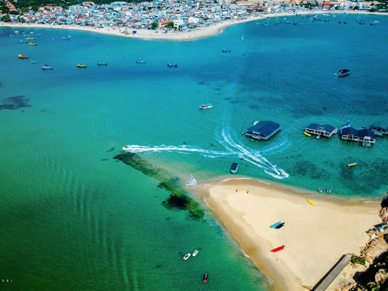 Tour Cắm Trại & BBQ Bãi Biển Quy Nhơn 1 Ngày
