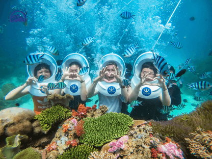 Tour Đi Bộ Dưới Biển Cù Lao Chàm 1 Ngày Từ Đà Nẵng