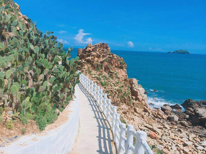 Tour Trekking Quy Nhơn 1 Ngày