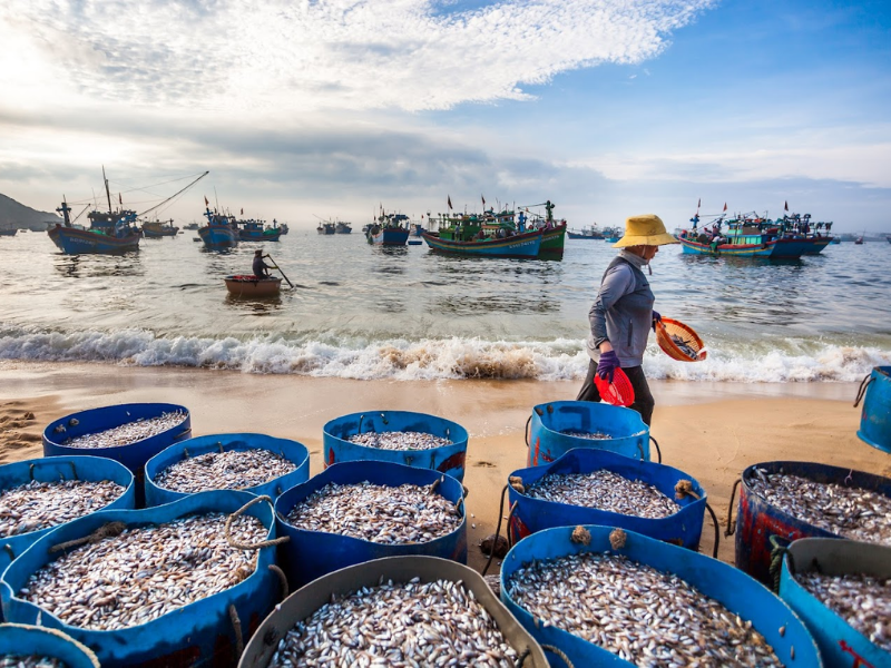 Tour Trải Nghiệm Làng Chài Quy Nhơn 1 Ngày