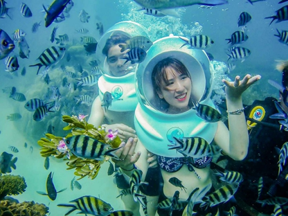 Tour Đi Bộ Dưới Biển Cù Lao Chàm 1 Ngày Từ Đà Nẵng