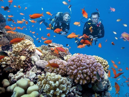 Tour Đi Bộ Dưới Biển Cù Lao Chàm 1 Ngày Từ Đà Nẵng