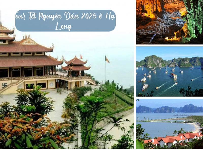 Tết Nguyên Đán 2025 ở Hạ Long