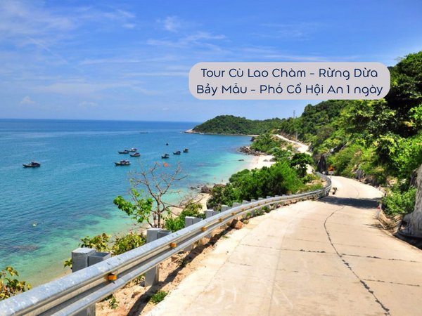 Tour Cù Lao Chàm - Rừng Dừa Bảy Mẫu - Phố Cổ Hội An 1 ngày (kết hợp biển đảo, rừng dừa và phố cổ)