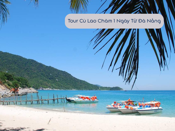 Tour Cù Lao Chàm 1 Ngày Từ Đà Nẵng