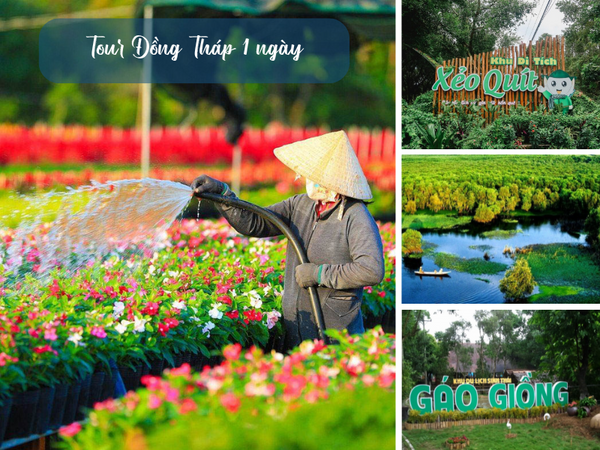 Tour Đồng Tháp 1 ngày