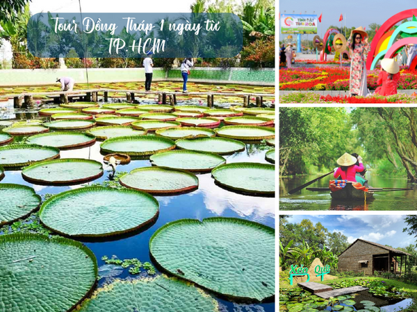 Tour Đồng Tháp 1 ngày từ TP.HCM