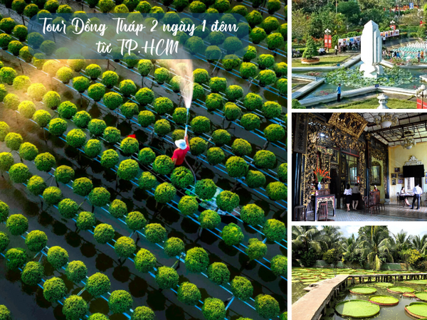 Tour Đồng Tháp 2 ngày 1 đêm từ TP.HCM