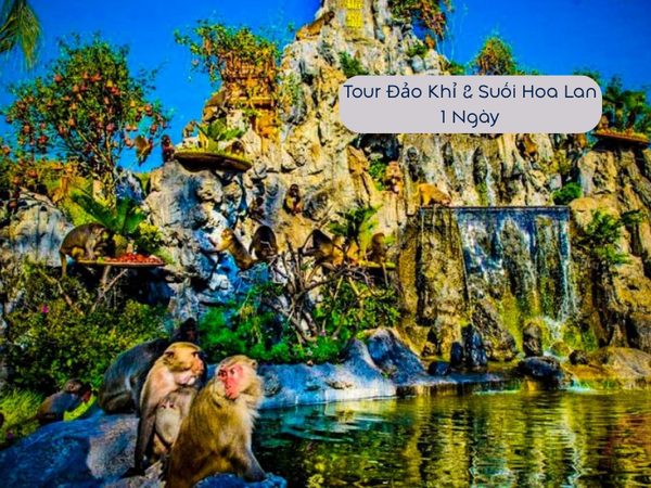 Tour Đảo Khỉ & Suối Hoa Lan 1 Ngày Từ Nha Trang